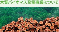 木質バイオマス発電事業について